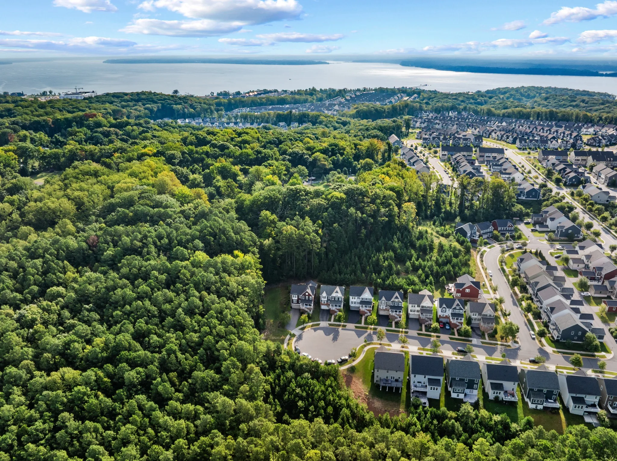 Aerial view of a wooded neighborhood near the water